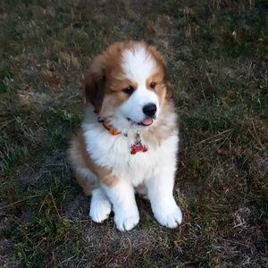 Meet your Posher, Maxine